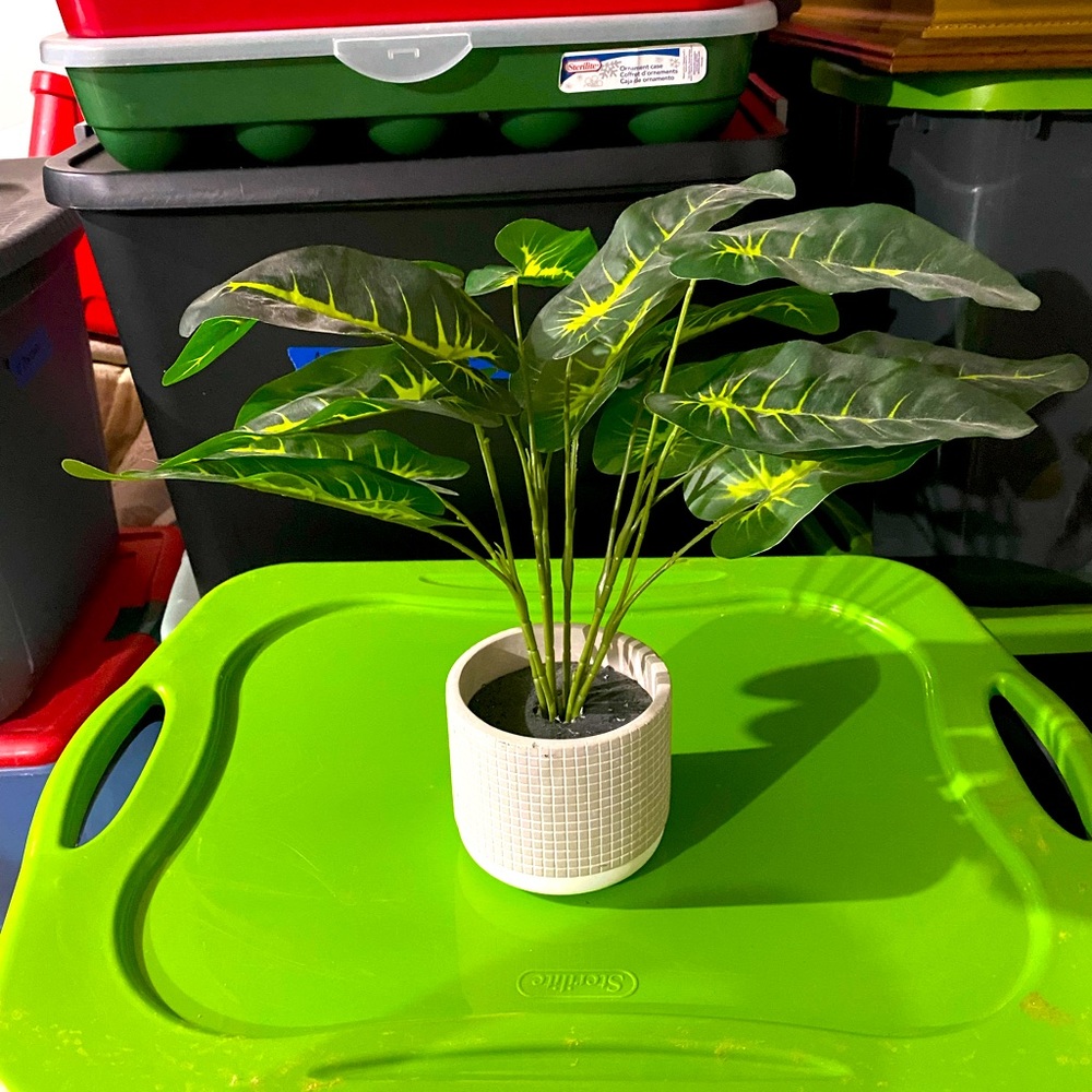 Faux Greenery
